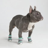 Scarpe per cani Hot Pavement Pawtector - Verde acqua