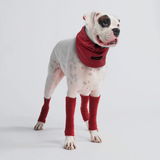 Red Warmer Set