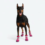Stivaletti da pioggia per cani, Scarpette impermeabili per cani - Camo Fucsia