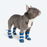Stivaletti da pioggia per cani, Scarpette impermeabili per cani - Camo Blu