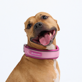 Pink Collar||size:C,D,E