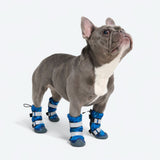 Stivaletti da pioggia per cani, Scarpette impermeabili per cani - Camo Blu