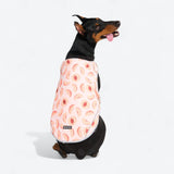 Gilet rinfrescante per cani - Pesche