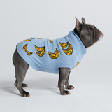 Maglione per cane lavorato a maglia - Banana