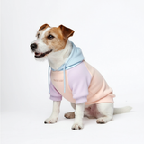 Cotton Candy Hoodie||size:M