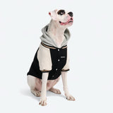 Giacca varsity per cani - Nero