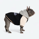 Giacca varsity per cani - Nero