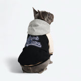 Giacca varsity per cani - Nero