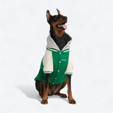 Giacca varsity per cani - Verde