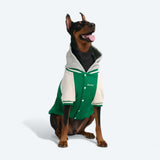 Green Varsity Jacket