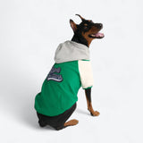 Giacca varsity per cani - Verde
