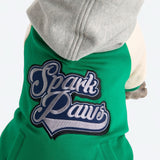 Giacca varsity per cani - Verde