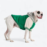 Giacca varsity per cani - Verde