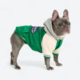 Giacca varsity per cani - Verde