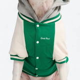 Giacca varsity per cani - Verde