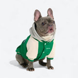Giacca varsity per cani - Verde