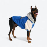 Giacca varsity per cani - Blu