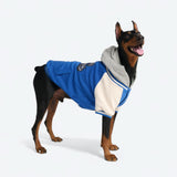 Giacca varsity per cani - Blu