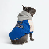 Giacca varsity per cani - Blu