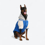 Giacca varsity per cani - Blu