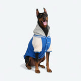 Giacca varsity per cani - Blu