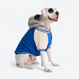 Giacca varsity per cani - Blu