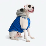 Giacca varsity per cani - Blu