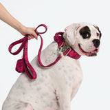 Set guinzaglio e porta sacchetti per escrementi - Camo Fucsia