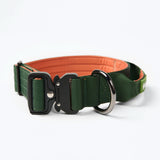 Collare comfort control - Verde Arancione