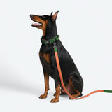 Collare comfort control - Verde Arancione