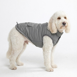Grey Warmshield Jacket||size:2XL