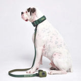 Set Guinzaglio e Porta Sacchetti - Verde Militare