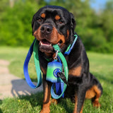 Set Guinzaglio e Porta Sacchetti - Lime Wave