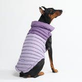 Purple PuffShield Jacket||size:3XL,4XL