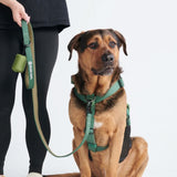 Set Guinzaglio e Porta Sacchetti - Verde Militare