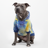 Velvet Nova Hoodie||size:3XL