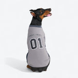 Maglia da calcio in rete - Grigia