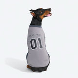 Maglia da calcio in rete - Grigia