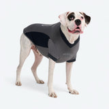 Maglia da calcio in rete - Grigia