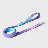 Set Guinzaglio e Porta Sacchetti - Retrò anni '90