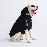 Felpa di Halloween per cani - Scheletro