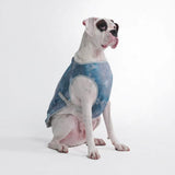 Gilet di raffreddamento per cani - Blu ghiaccio