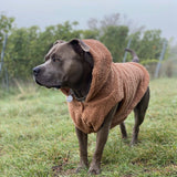 Giacca Teddy Sherpa - Marrone
