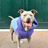 Giacca reversibile - Viola e blu