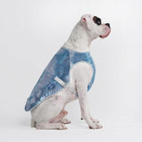Gilet di raffreddamento per cani - Blu ghiaccio