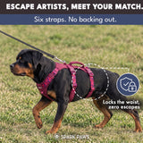Fuchsia Camo Escape Proof||size:1,2,3,4,5