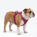 Fuchsia Camo Everyday||size:4