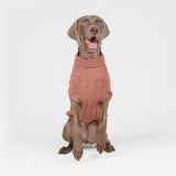Maglione a trecce per can - Marrone