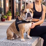 Black Grab and Go||size:1,2,3,4,5,6