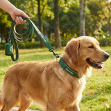 Green Collar||size:XS,S,M,L